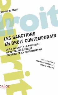 les-sanctions-en-droit-contemporain-vol-3-de-la-theorie-a-la-pratique-illustration-a-partir-du.jpg